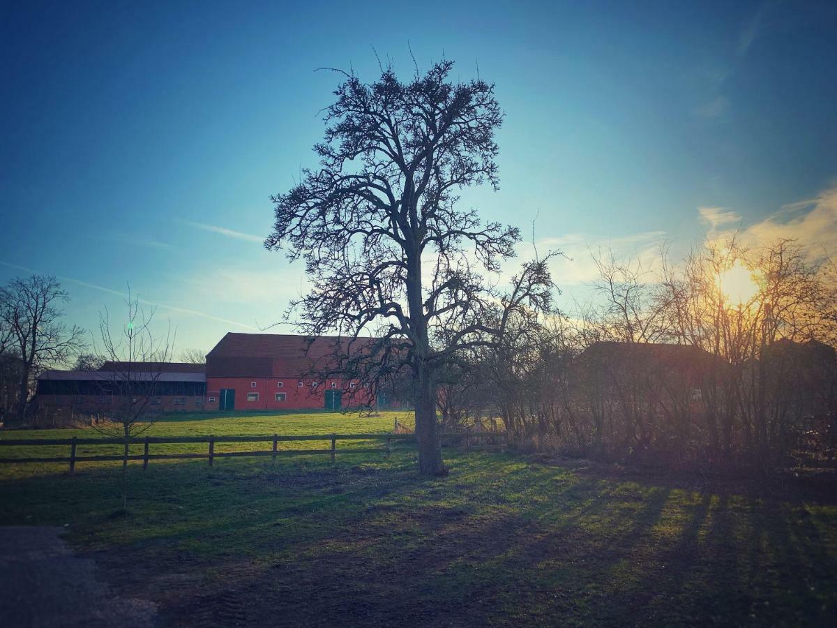 Schickes Landhaus In Koselau&Ostsee Villa Riepsdorf Exteriör bild